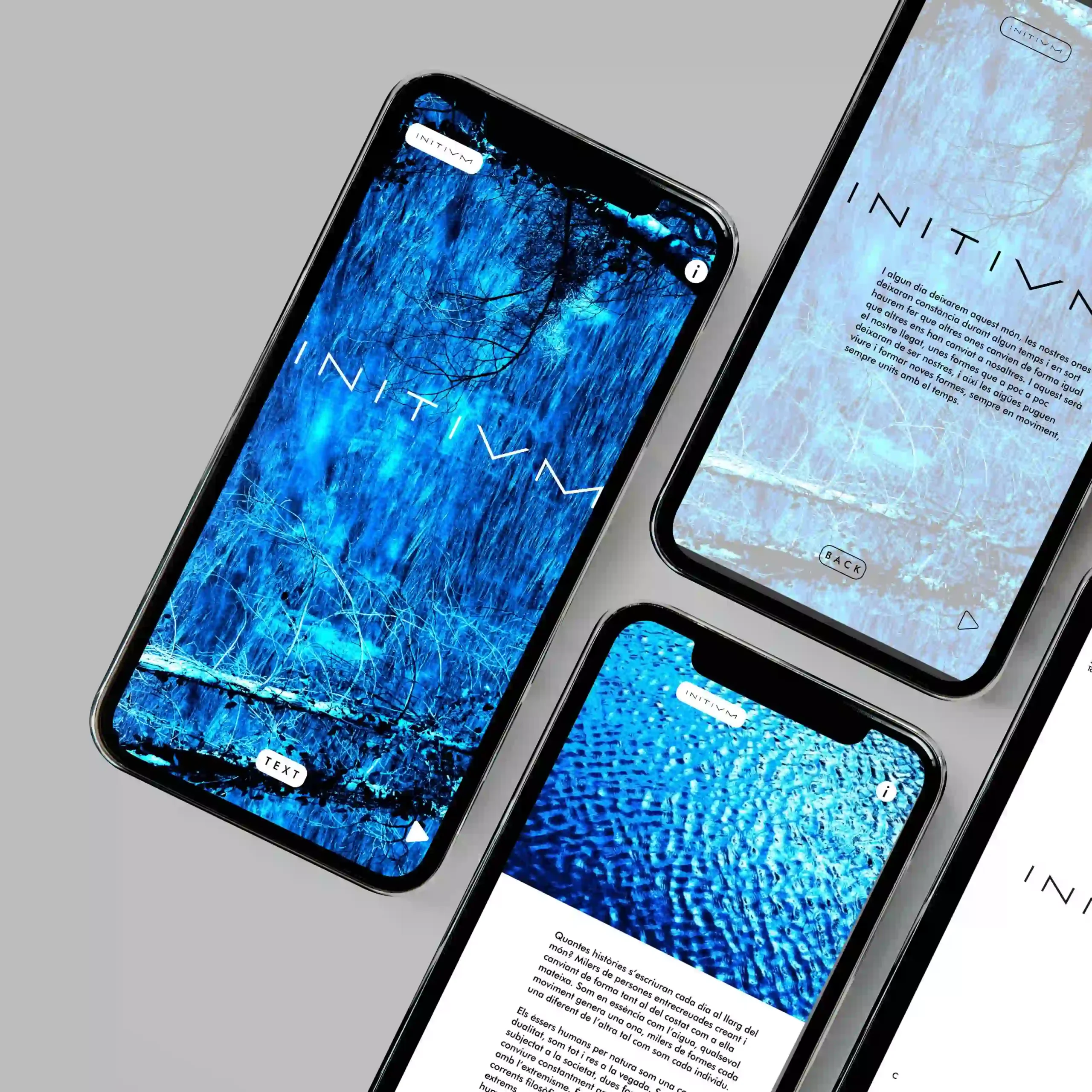 iPhone mockup featuring multiple interactive designs from a digital art exhibition, highlighting creative design and an immersive experience.